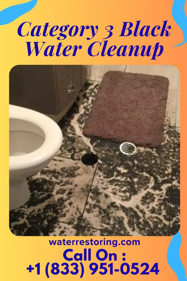 Category 3 Black Water Cleanup in Lahoma, OK
